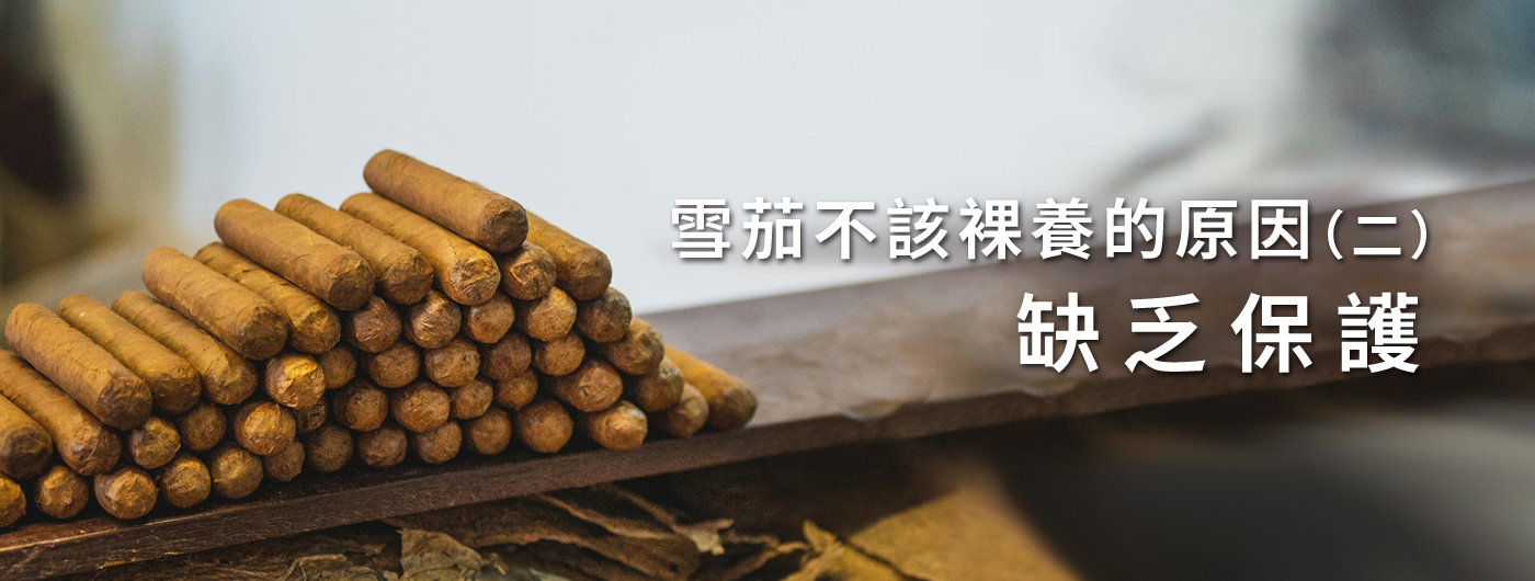 知識家250628c 知識家250628c