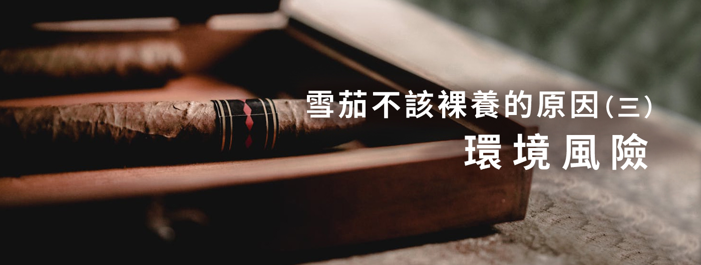 知識家250628d 知識家250628d